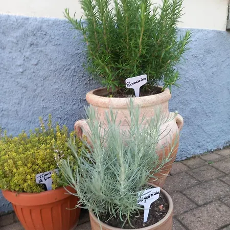 Holiday home Natura & Relax A Casa Trumlinot